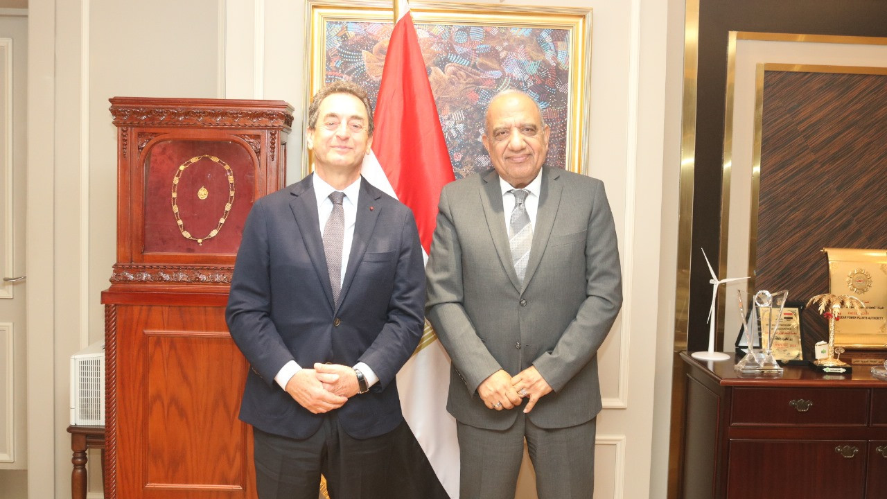 وزير الكهرباء وسفير فرنسا بالقاهرة