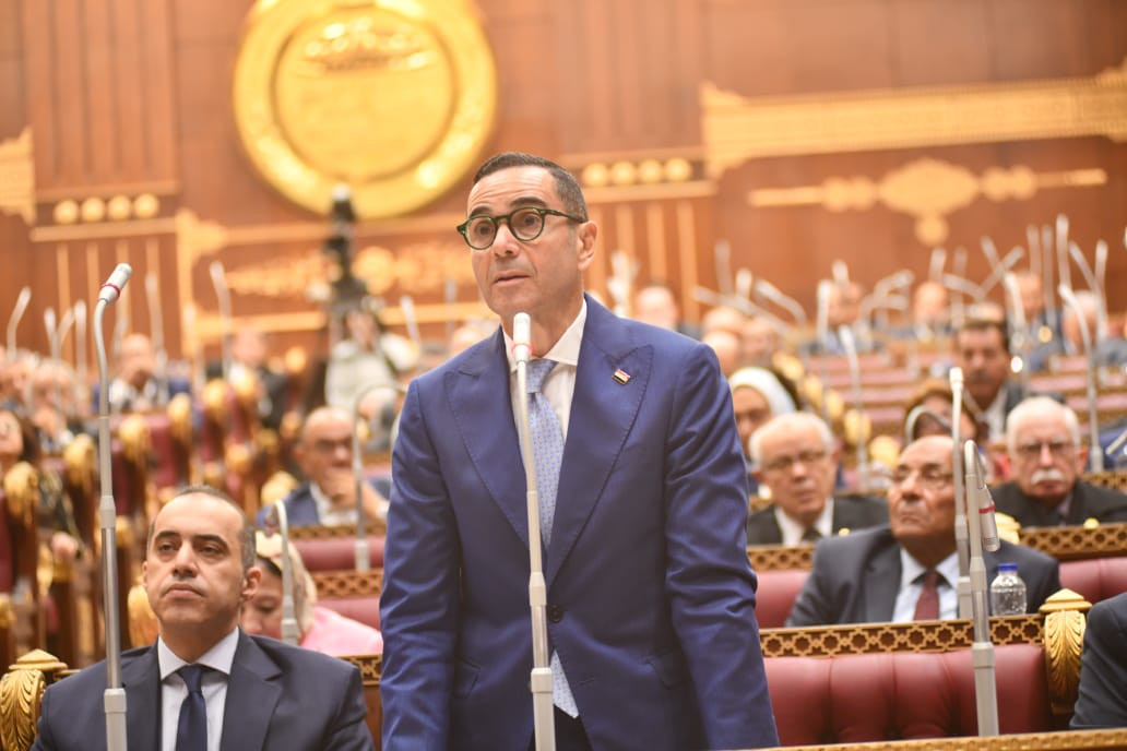 وزير الاستثمار خلال اللقاء