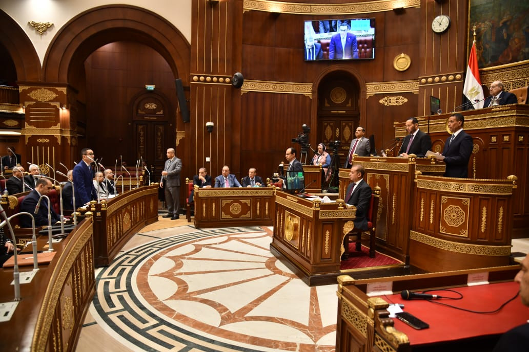 وزير الاستثمار خلال اللقاء