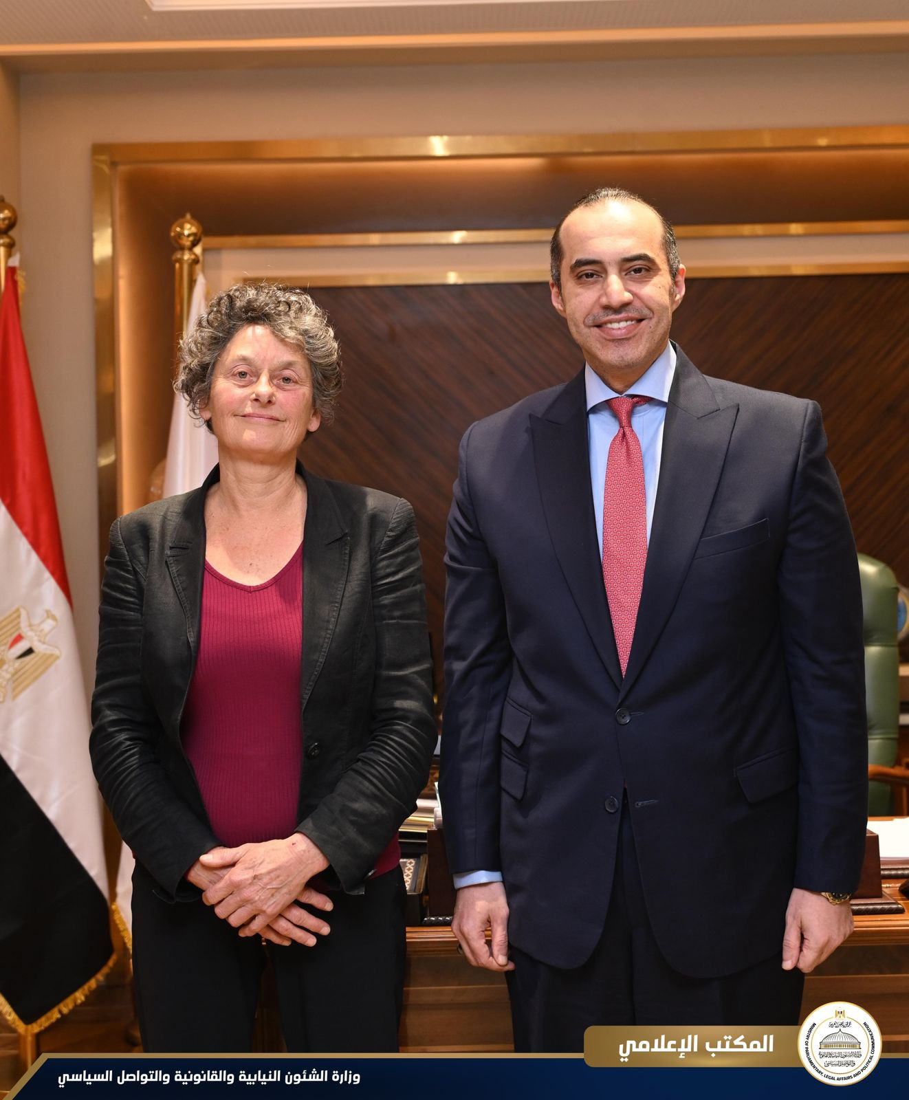 المستشار محمود فوزي