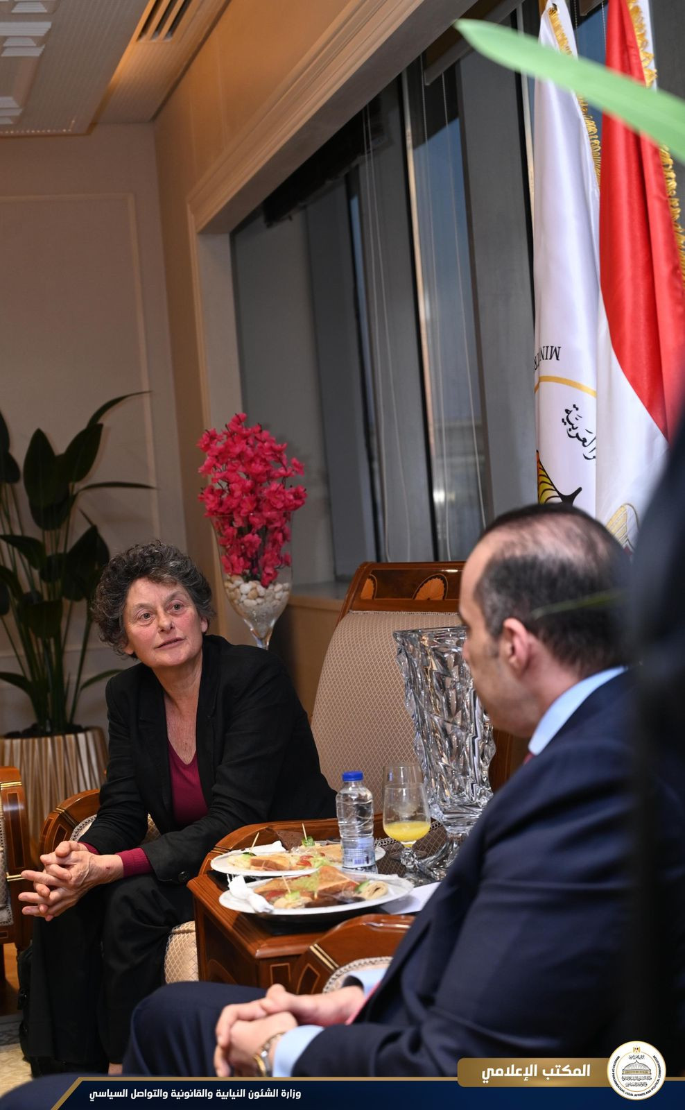 المستشار محمود فوزي