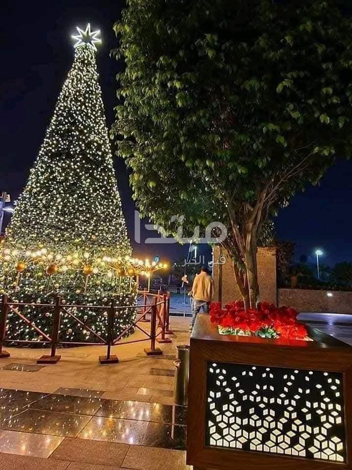 مظاهر الاحتفال برأس السنة في الشيخ زايد