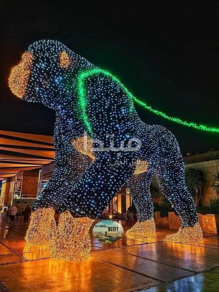 مظاهر الاحتفال برأس السنة في الشيخ زايد