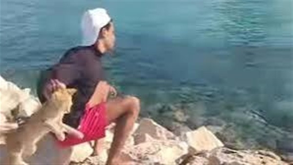 إلقاء قطة في البحر