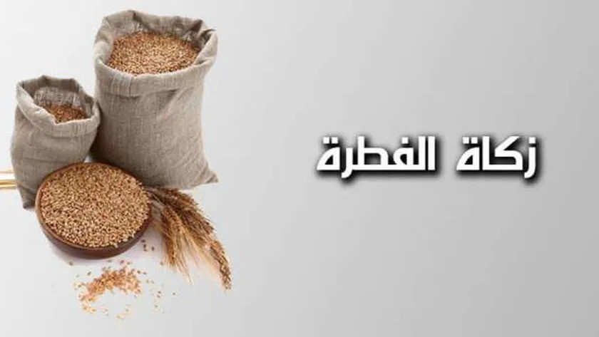 زكاة الفطر