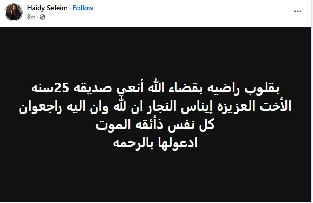 هايدي سليم