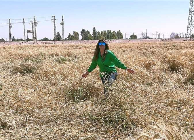 لقاء سويدان