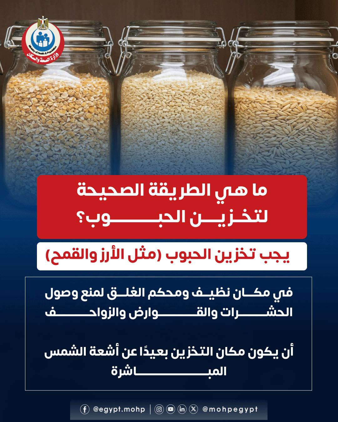 الطريقة الصحيحة لتخزين الحبوب