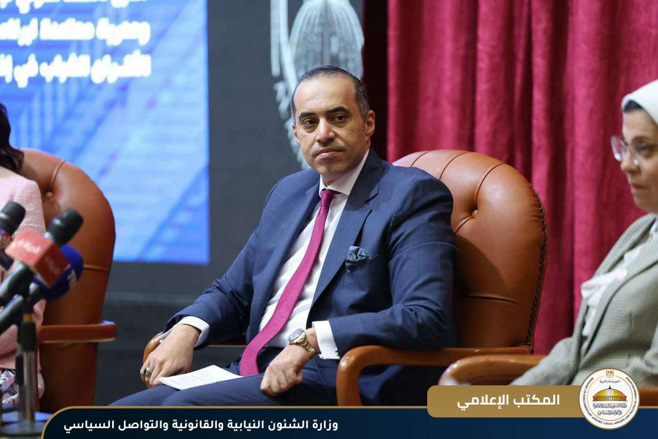 المستشار محمود فوزي