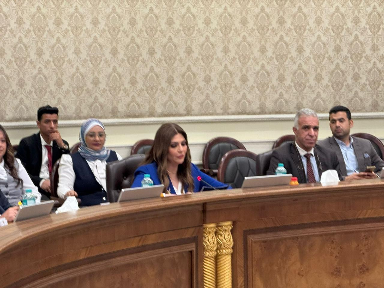 مائدة مستديرة لـ حزب حماة الوطن عن تداعيات التصعيد الإسرائيلي - الإيرا