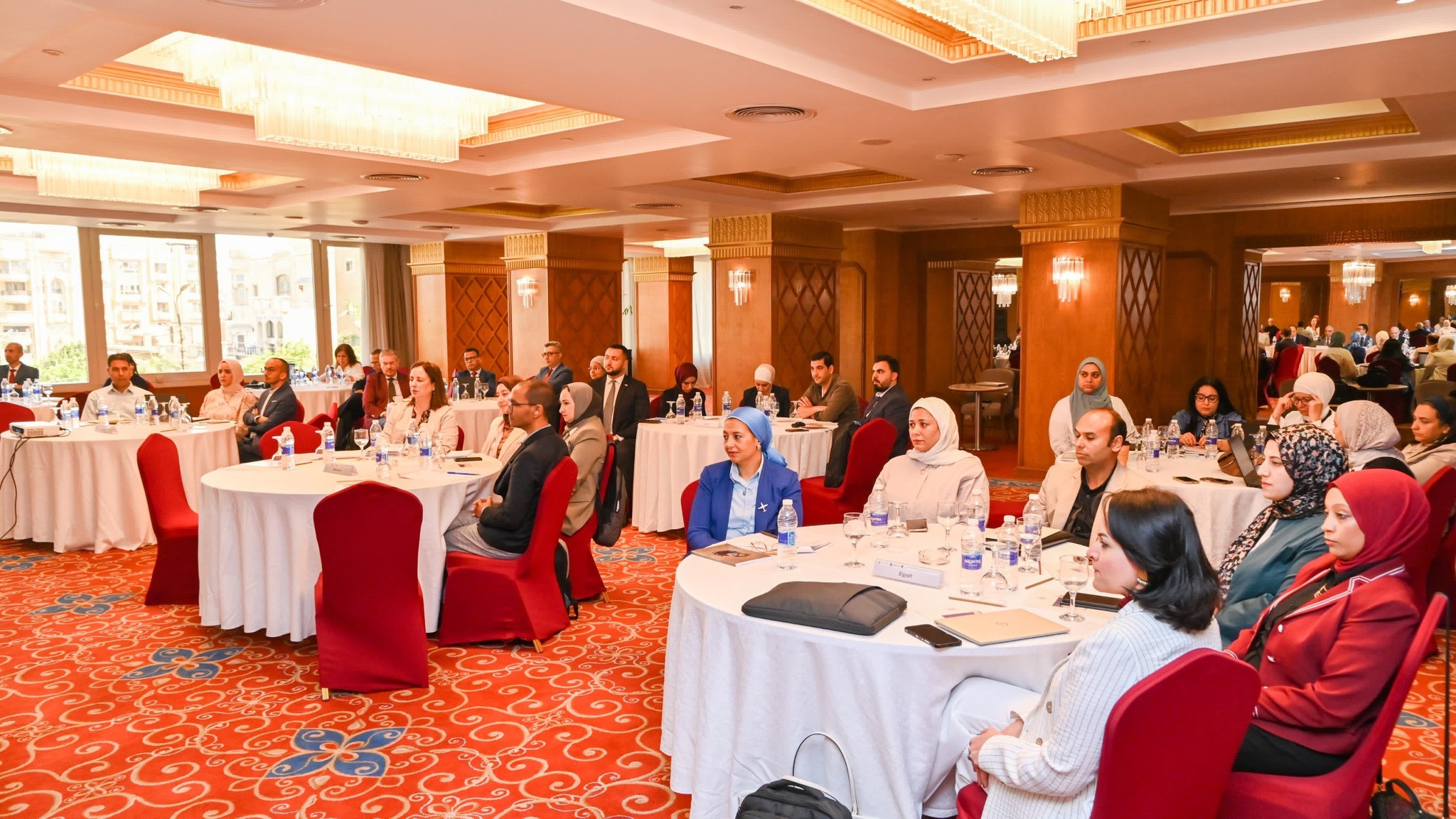 وزير الموارد المائية والرى
