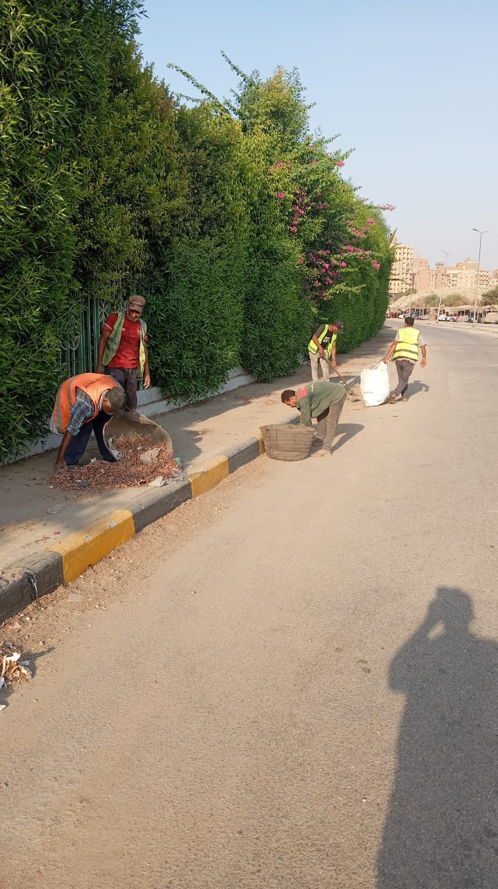 صور رفع كفاءة الشوارع