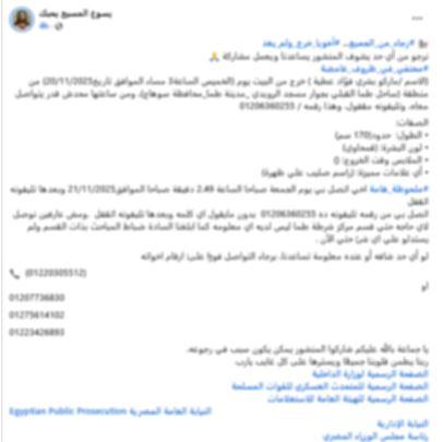 الواقعة