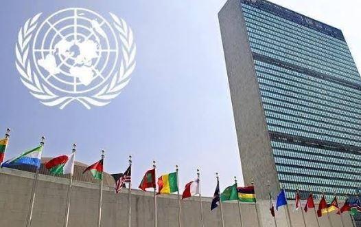 المرأة المصرية تتألق في الأمم المتحدة: إنجازات وإنجازات في مناصب قيادية دولية