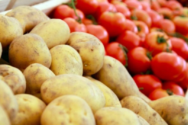 أسعار الطماطم في سوق العبور تتراوح بين 8 و18 جنيهاً للكيلو