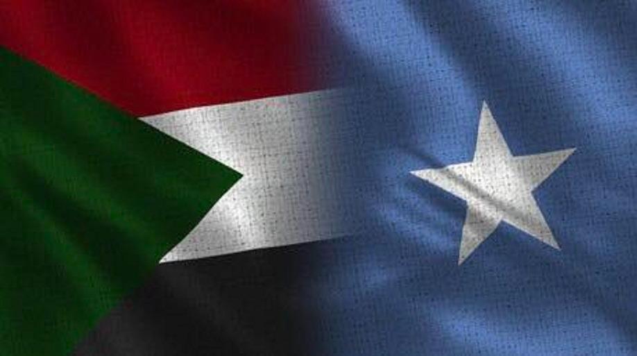 مجلس السلم والأمن الأفريقي يعتمد بيانين لدعم وحدة وسيادة السودان والصومال