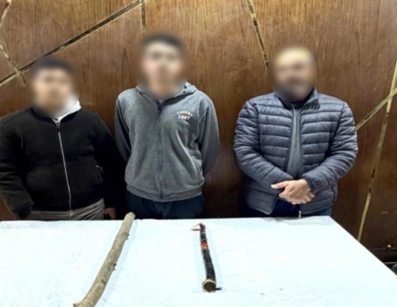 ضبط 3 أشخاص اعتدوا على صيدلي داخل محل عمله بكفر الشيخ