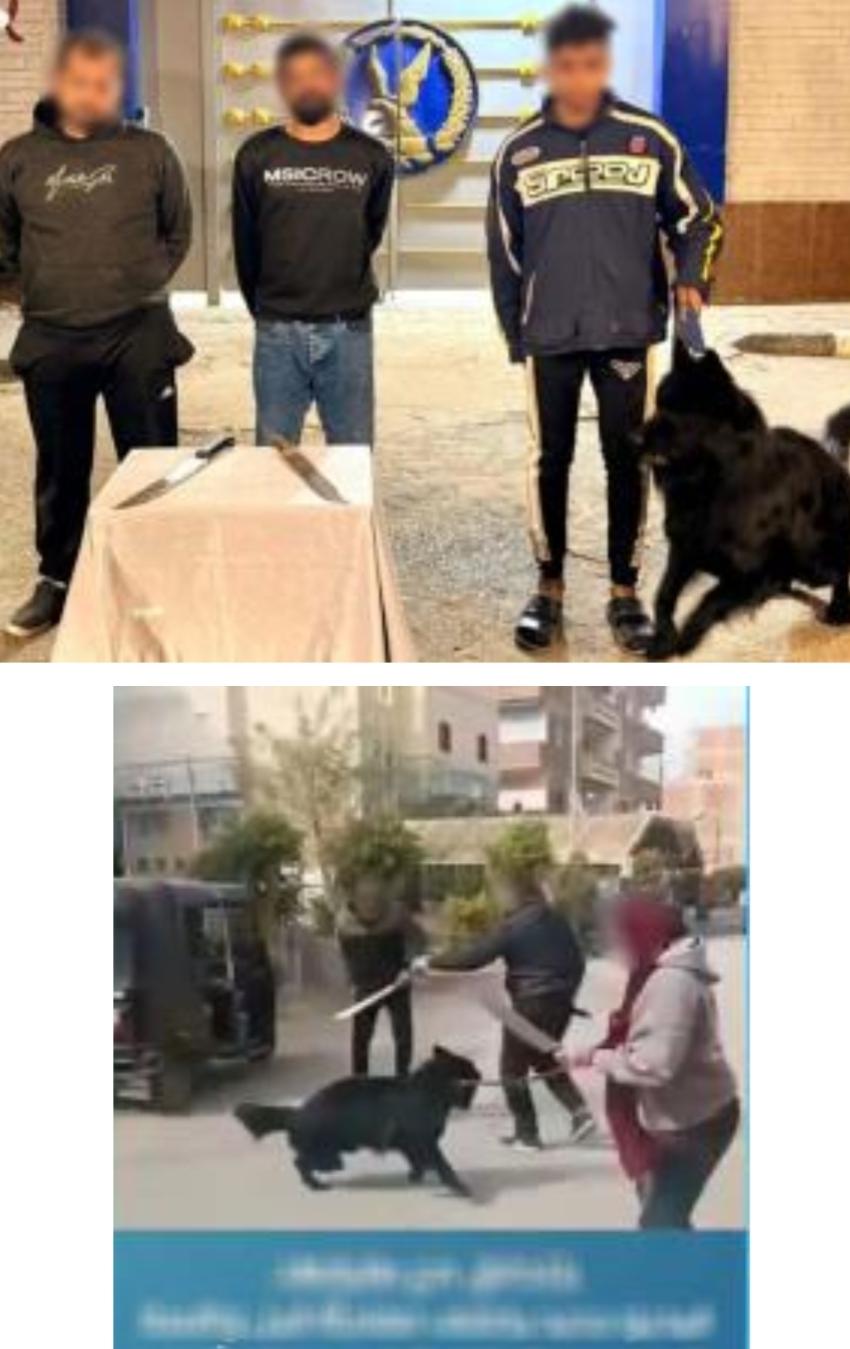 المتهمين
