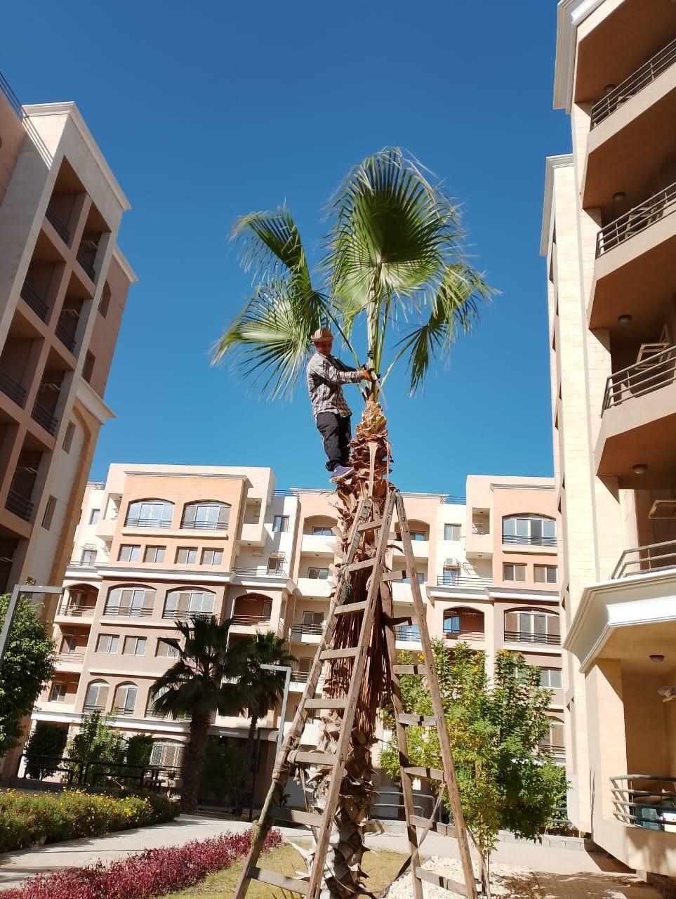 الوحدات السكنية بالحي السكني الثالث 