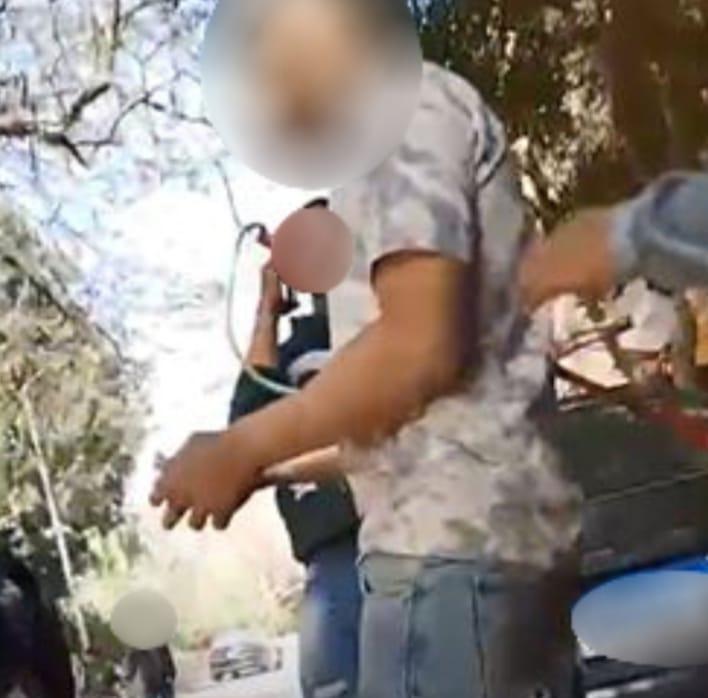 ضبط مؤجر خيول للنصب على مواطنين بالجيزة