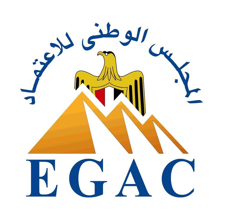 الصناعة المصرية تحقق إنجازاً جديداً بتجديد الاعتراف الدولي في 7 مجالات