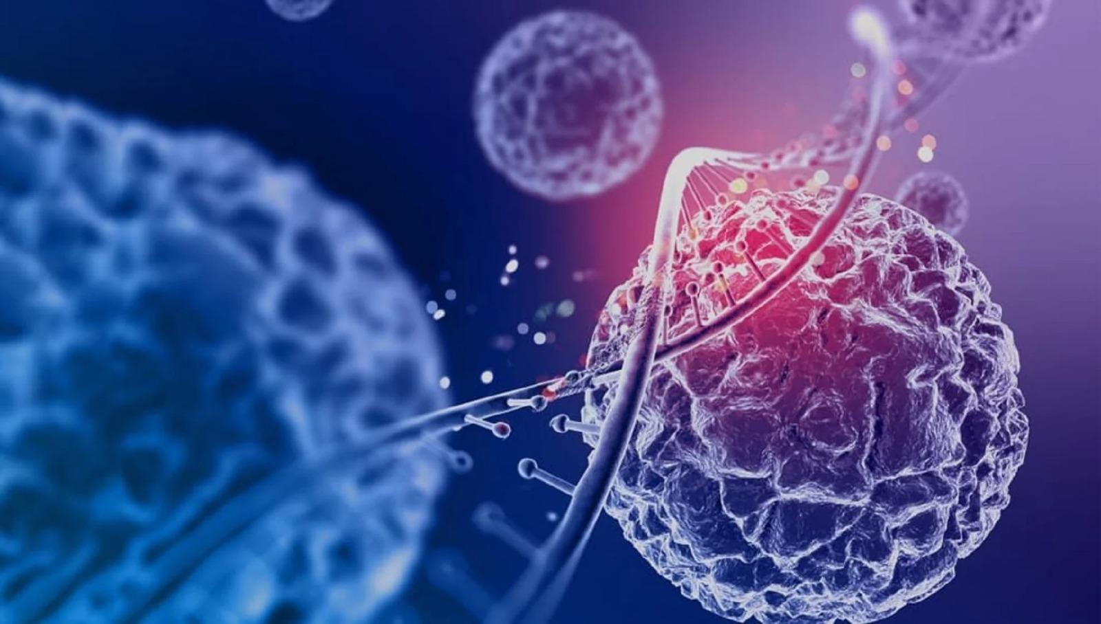السنغال تطلق خطة طموحة لخفض وفيات السرطان بحلول عام 2029
