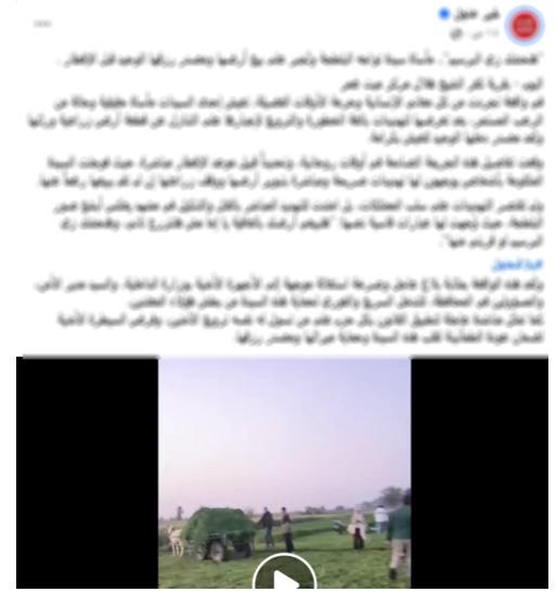 ملابسات إدعاء سيدة بقيام أشخاص بسرقة محصول الأرض ملكها بالدقهلية