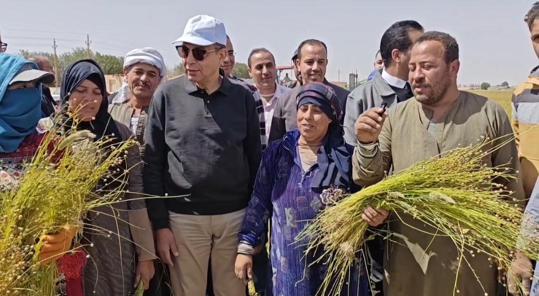 لأول مرة في المنيا: زراعة محصول الكتان على مساحة 600 فدان بالظهر الصحراوي الغربي