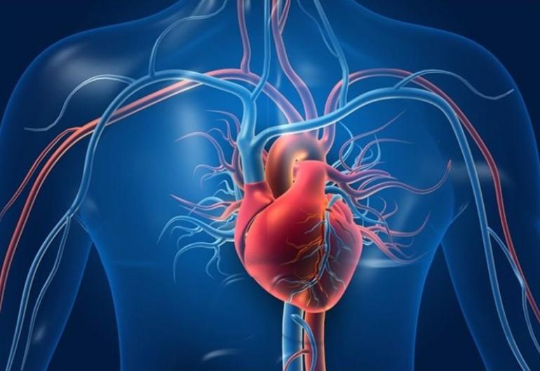 قبل حدوثه بـ5 سنوات: أداة ذكاء اصطناعي جديدة تتنبأ بفشل القلب المبكر