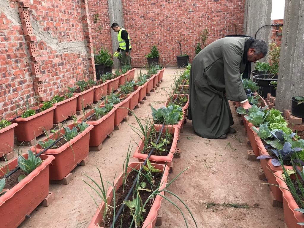 أفكار مبتكرة لعزل الأسطح في الصيف لحماية منزلك من الحرارة