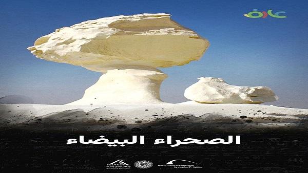 مكتبة الإسكندرية تطلق فيلمًا وثائقيًا بعنوان 