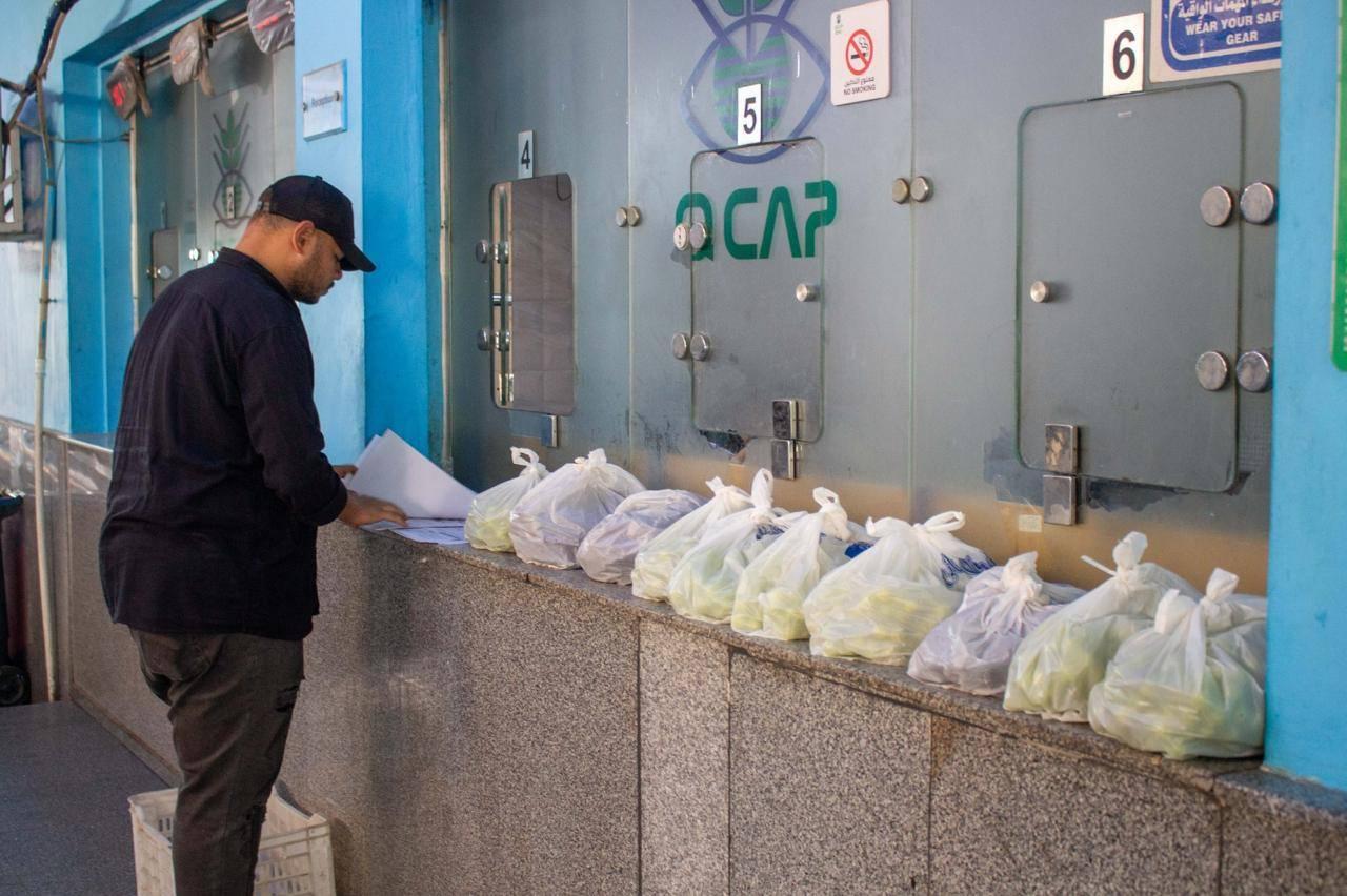 فحص أكثر من 2500 عينة غذائية