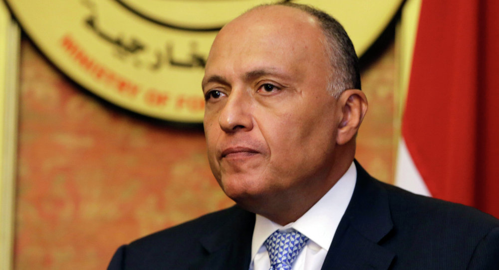 سامح شكرى